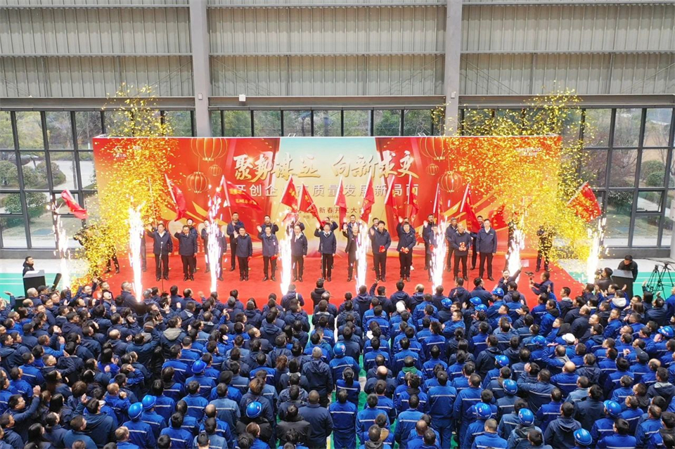 20250206081051_21306 乙巳蛇年 开工大吉
